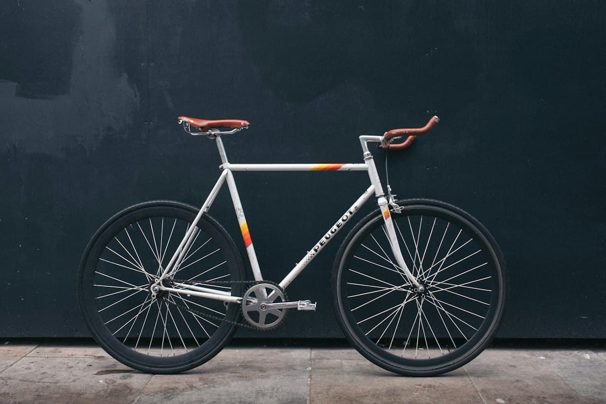E-bike CUBE GoVelo